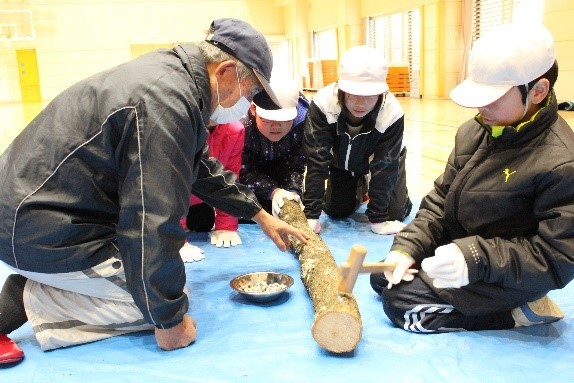 シイタケの駒打ちの画像