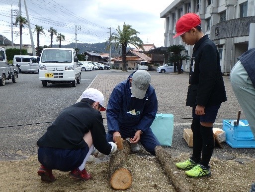 会員の指導で植菌作業（淺田小）の画像