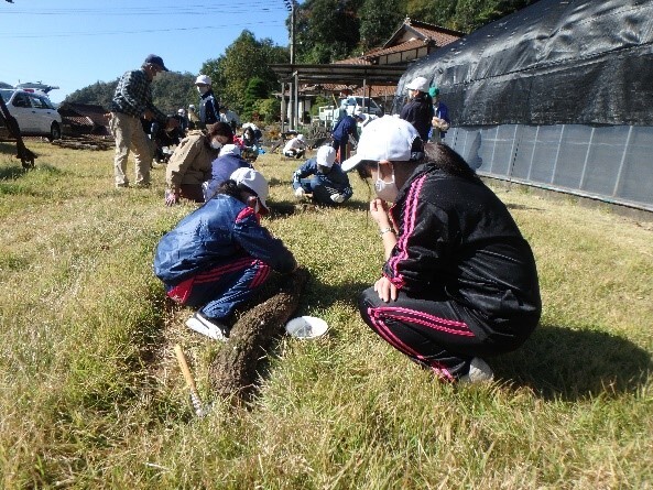 駒打ちの画像