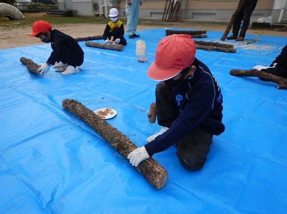 駒打ちの画像