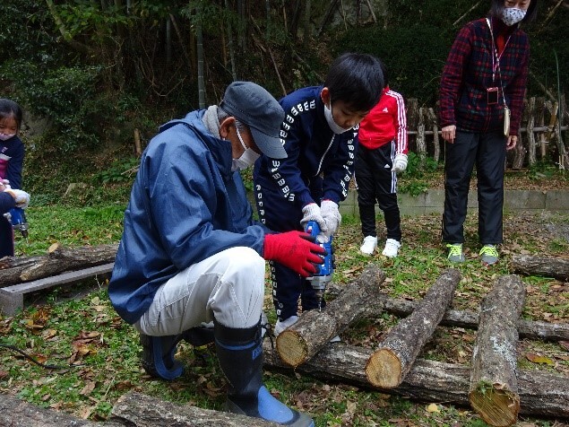 シイタケの駒打ちの画像