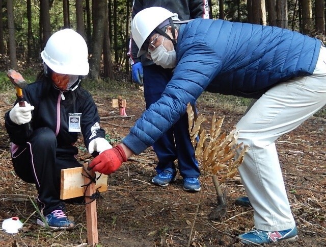 苗木を植えて名前のプレートを設置の画像