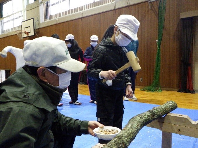 椎茸菌の駒打ちの画像