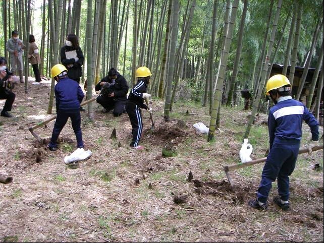 タケノコ料理に挑戦