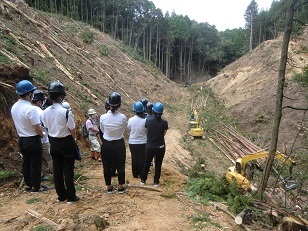 高性能林業機械による主伐現場の視察の画像