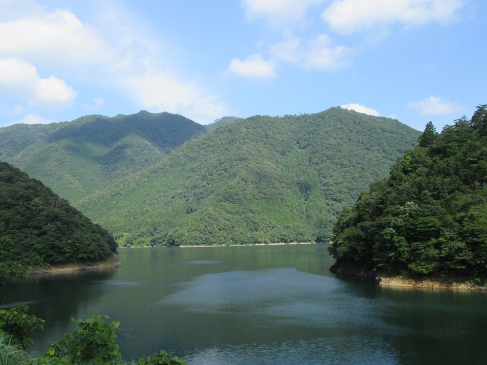 水源かん養保安林（山口市）の画像