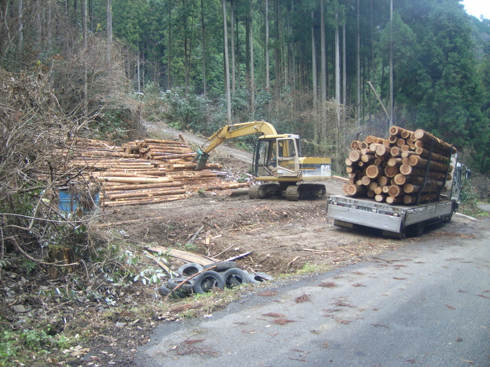 林業・林産業の振興写真