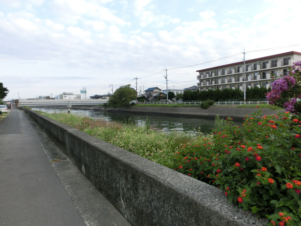 「通学路の橋」植田珠礼（下関市立垢田中学校2年）