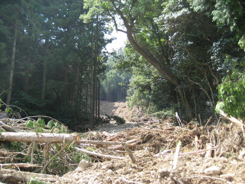 吉部野上西川土石流跡