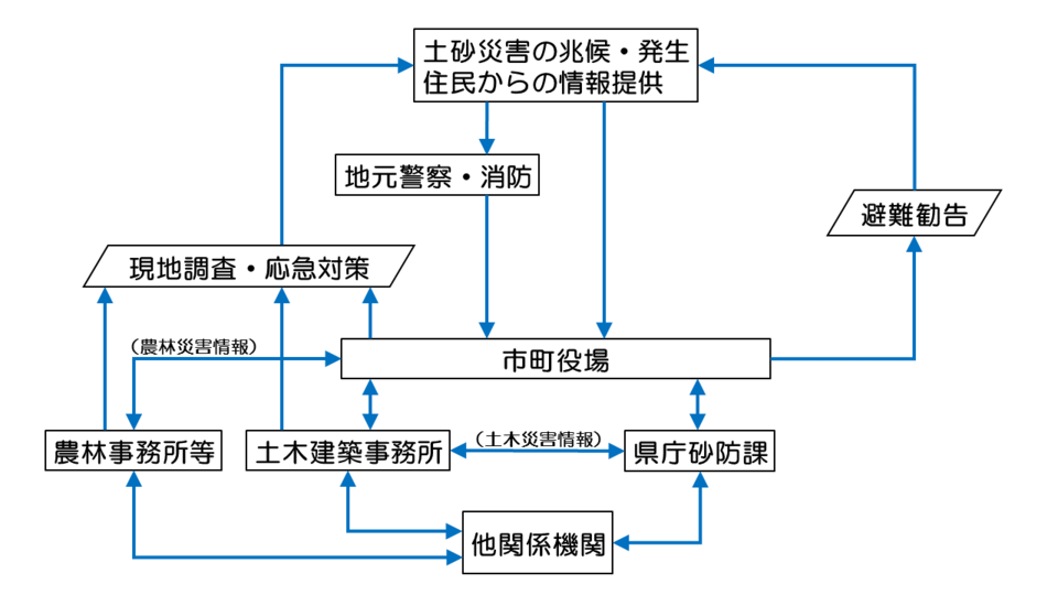 連絡体制模式図