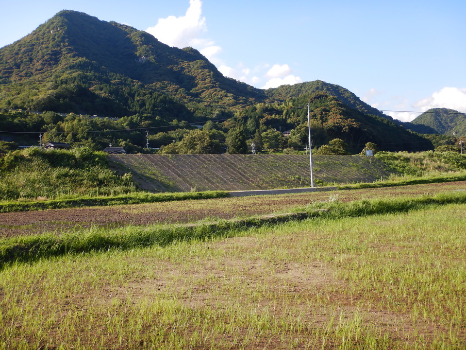 島田川　完成