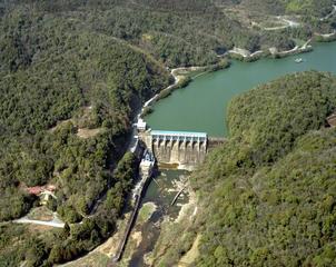 厚東川ダムの画像