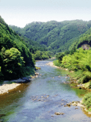 夏の錦川/岩国市の画像