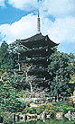 瑠璃光寺五重塔の写真