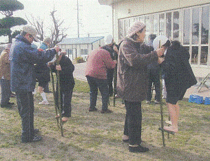 第5学年 国語科「短歌と俳句を味わおう」の画像