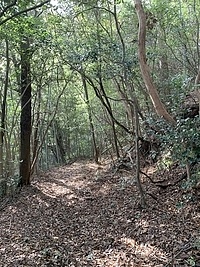 畑河内神社～吉敷大垰、片道1.2kmを徒歩で往復の画像
