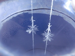 ドライアイスを使った雪の結晶づくりの画像