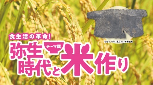 弥生時代と米作り
