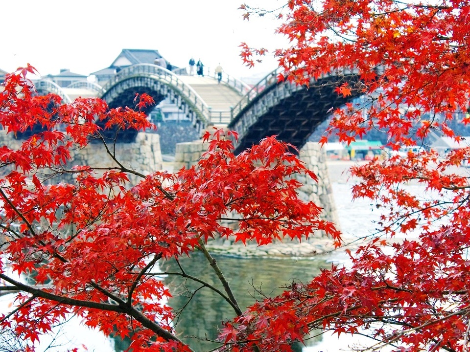 image2:Puente Kintaikyo（錦帯橋）