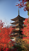瑠璃光寺五重塔